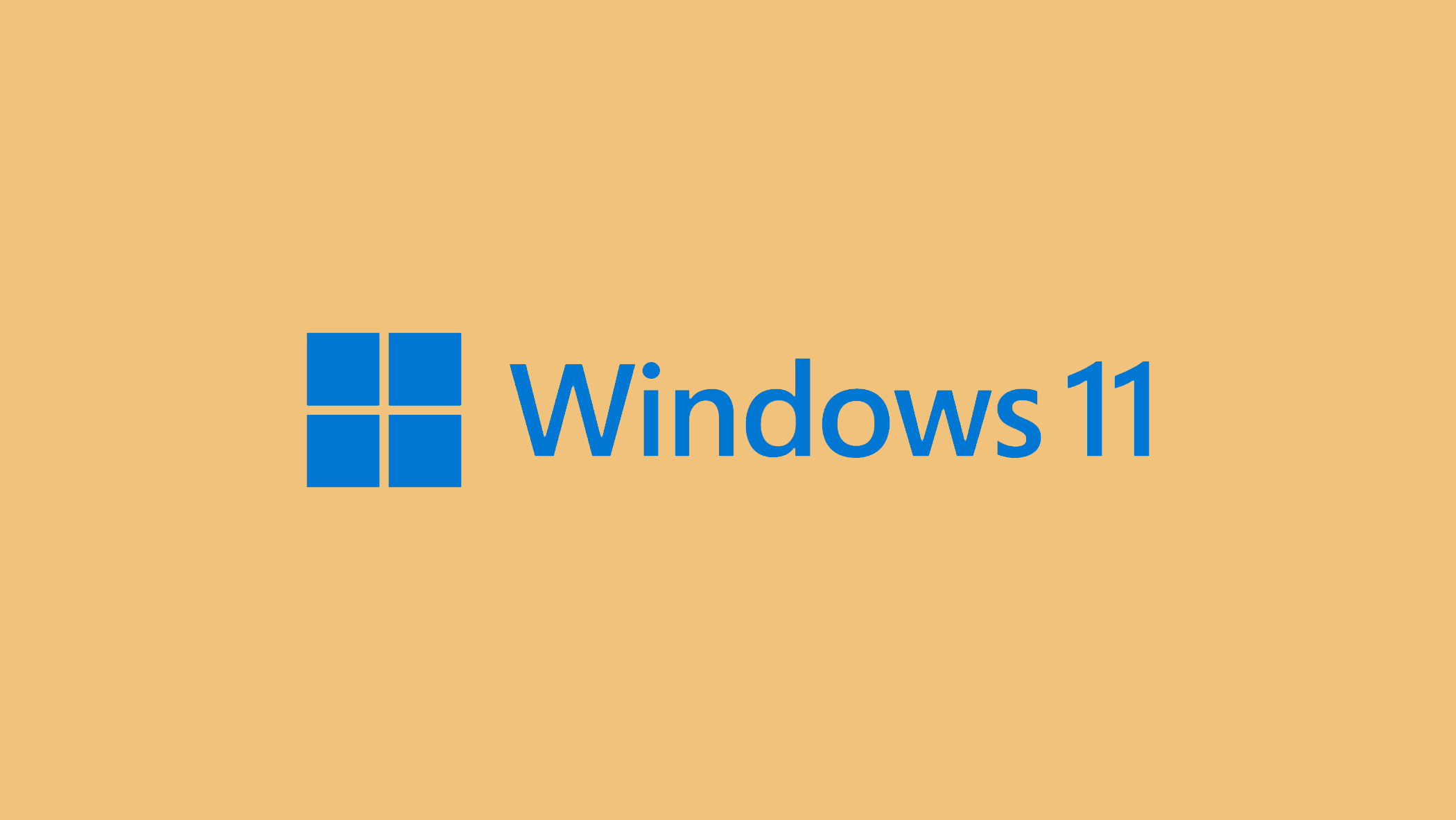 0x80080005